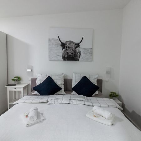 Ferienwohnung Domspatz Mit Klimaanlage Magdeburg Dış mekan fotoğraf
