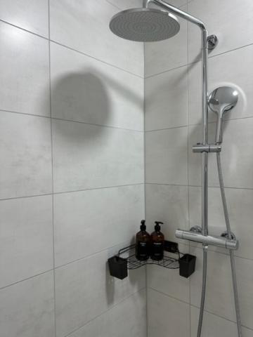 Ferienwohnung Domspatz Mit Klimaanlage Magdeburg Dış mekan fotoğraf