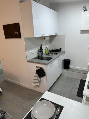 Ferienwohnung Domspatz Mit Klimaanlage Magdeburg Dış mekan fotoğraf